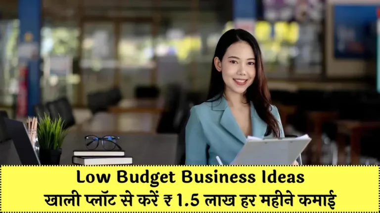 Low Budget Business Ideas